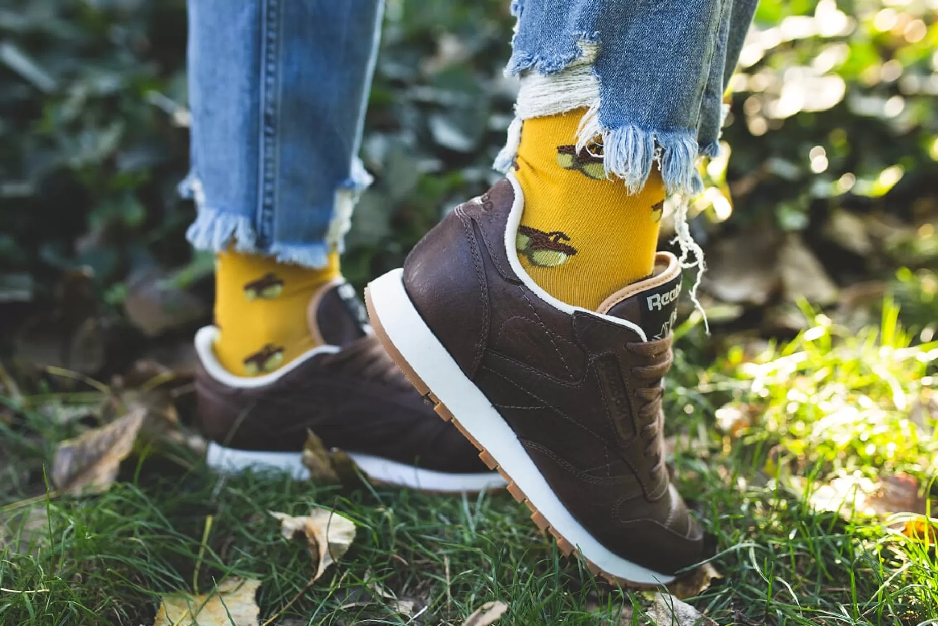 Cotton Socks | More Acorns Patterned Socks In By Yellow