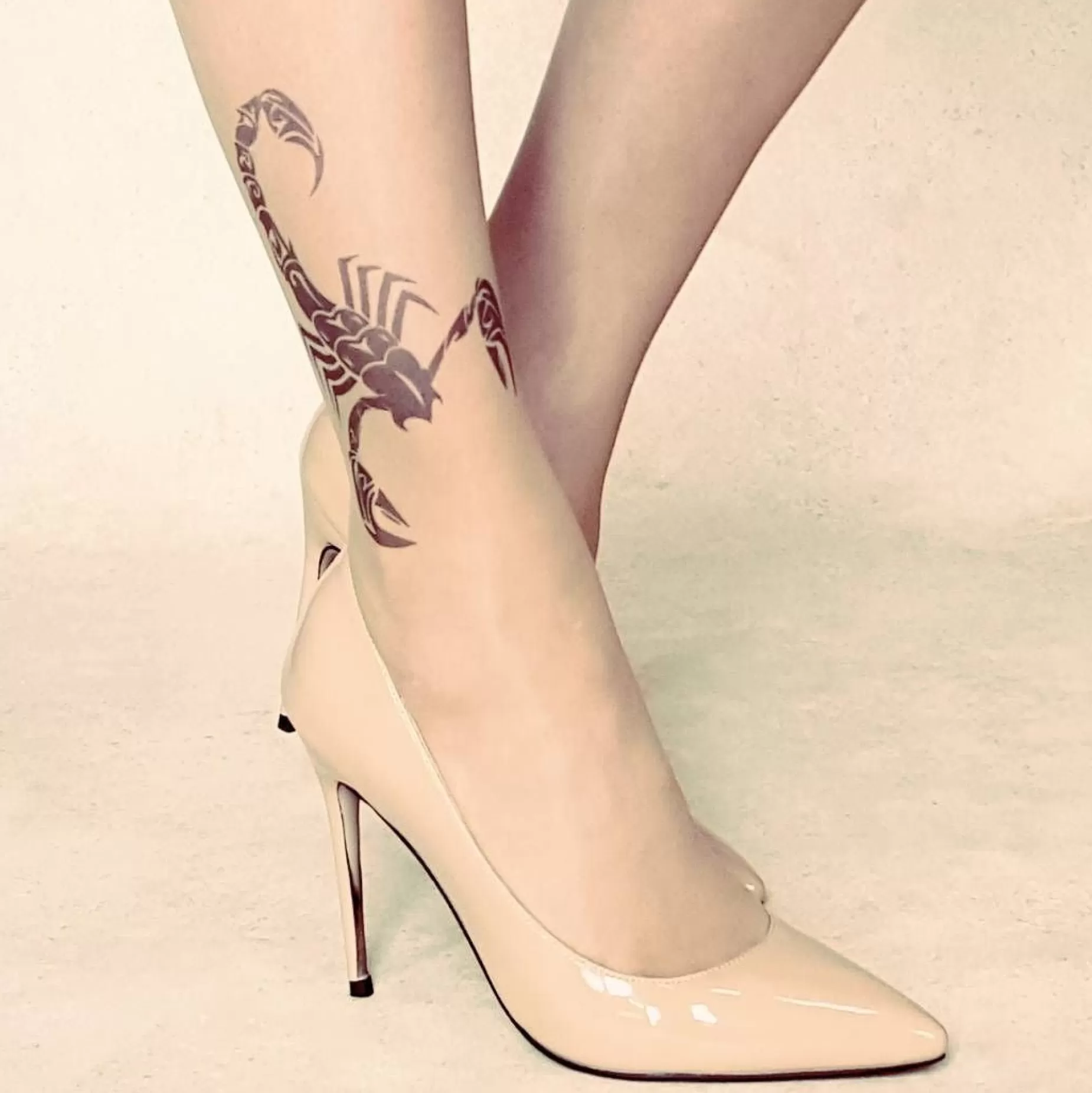 Animal Print Tights | Stop & Stare Black Scorpion Tattoo Tights By Sun: Medium Tan With Peachy Brown Tones For A Healthy Sun Tan Effect