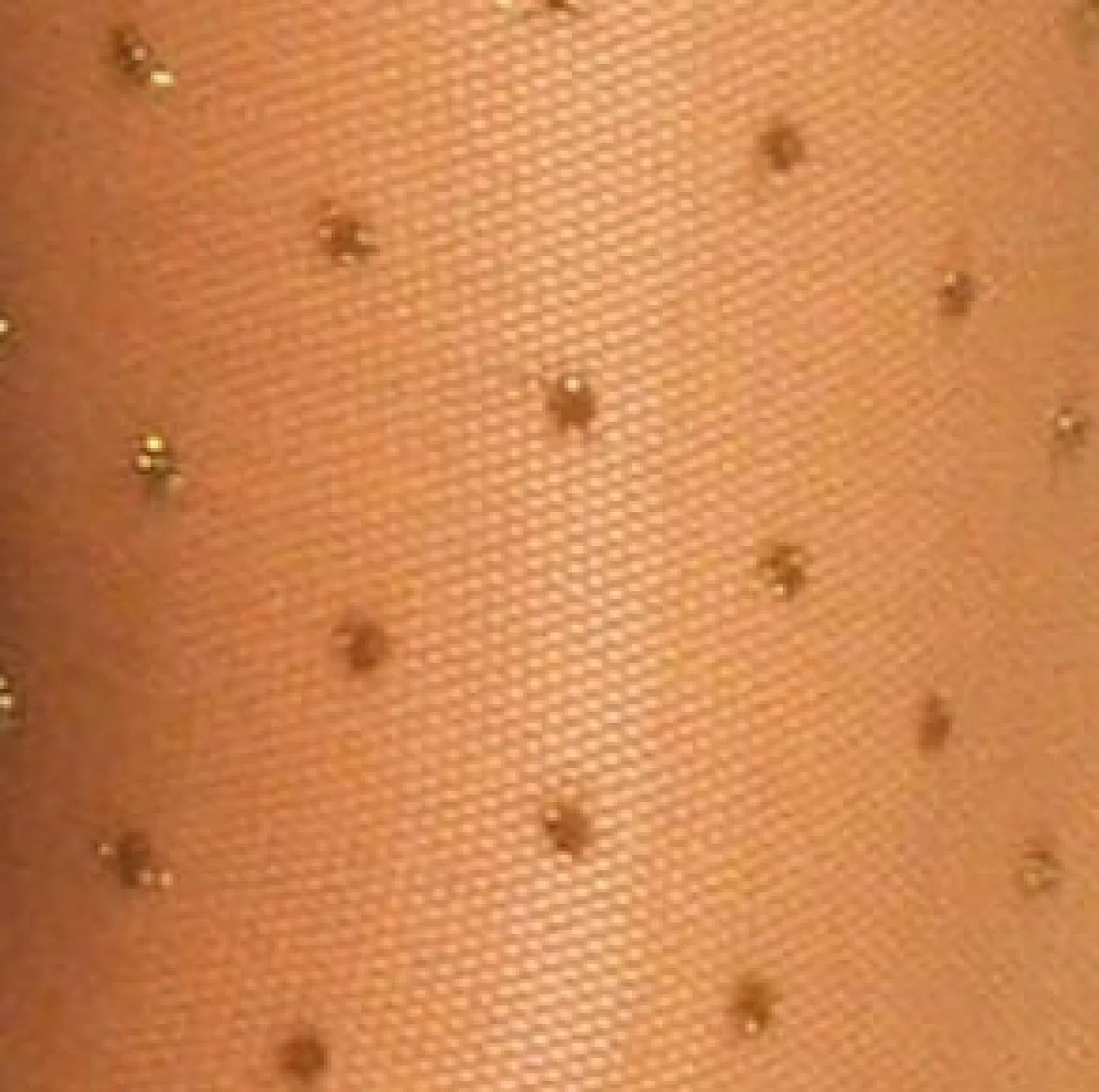 Patterned Tights | Veneziana Puntini Pois Lurex Polka Dot Tights By
